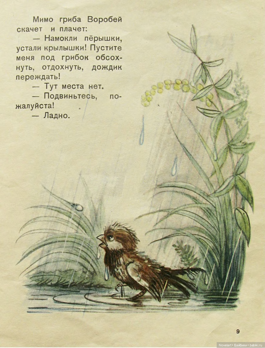 Под грибом. Владимир Сутеев. 1959г (фото 9)