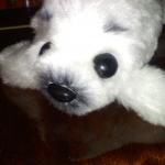 Мои игрушки 2