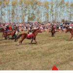 Мой город Тула. Куликово поле