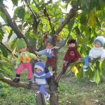 Семейство переделочек на прогулке. Последние солнечные деньки