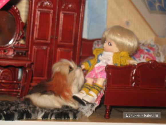 пуки мебель пуки мебель