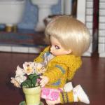 Новая мебель для пуки пуки Антэши.