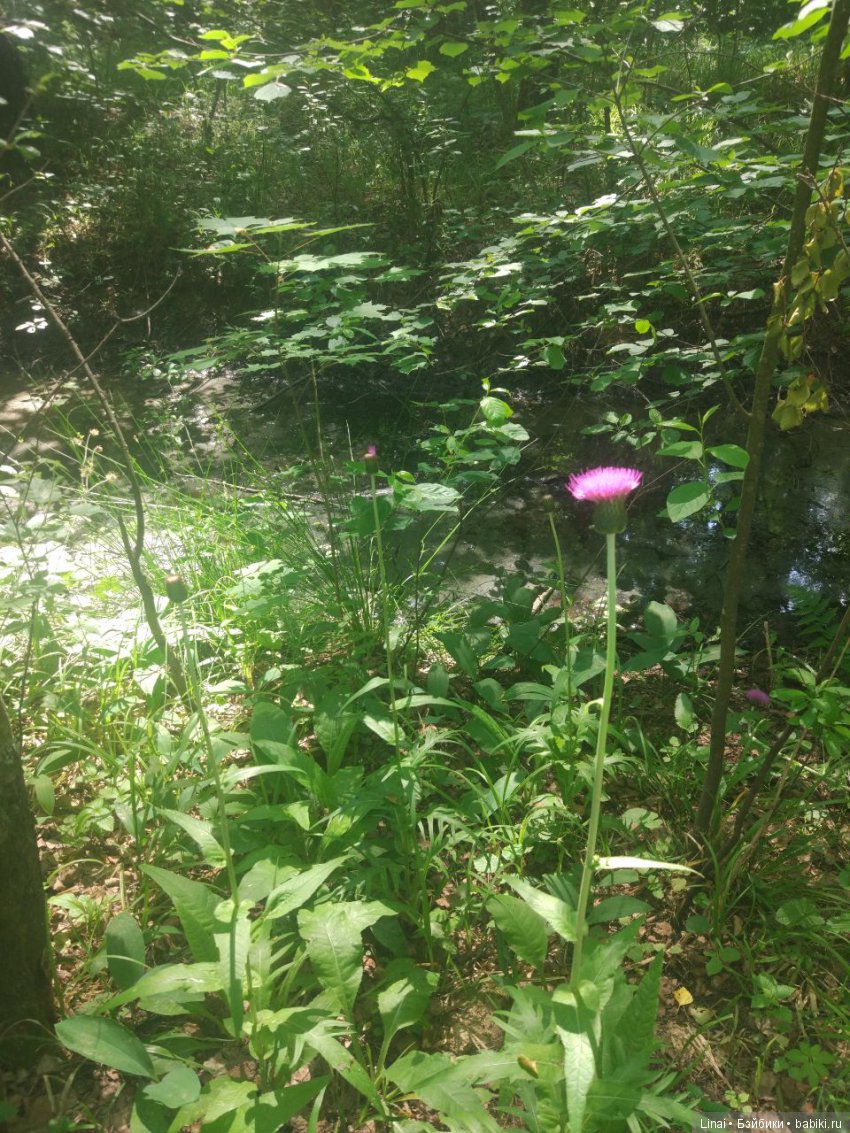 Солнечное утро для Милли, авторская текстильная кукла | Бэйбики Солнечное утро для Милли, авторская текстильная кукла