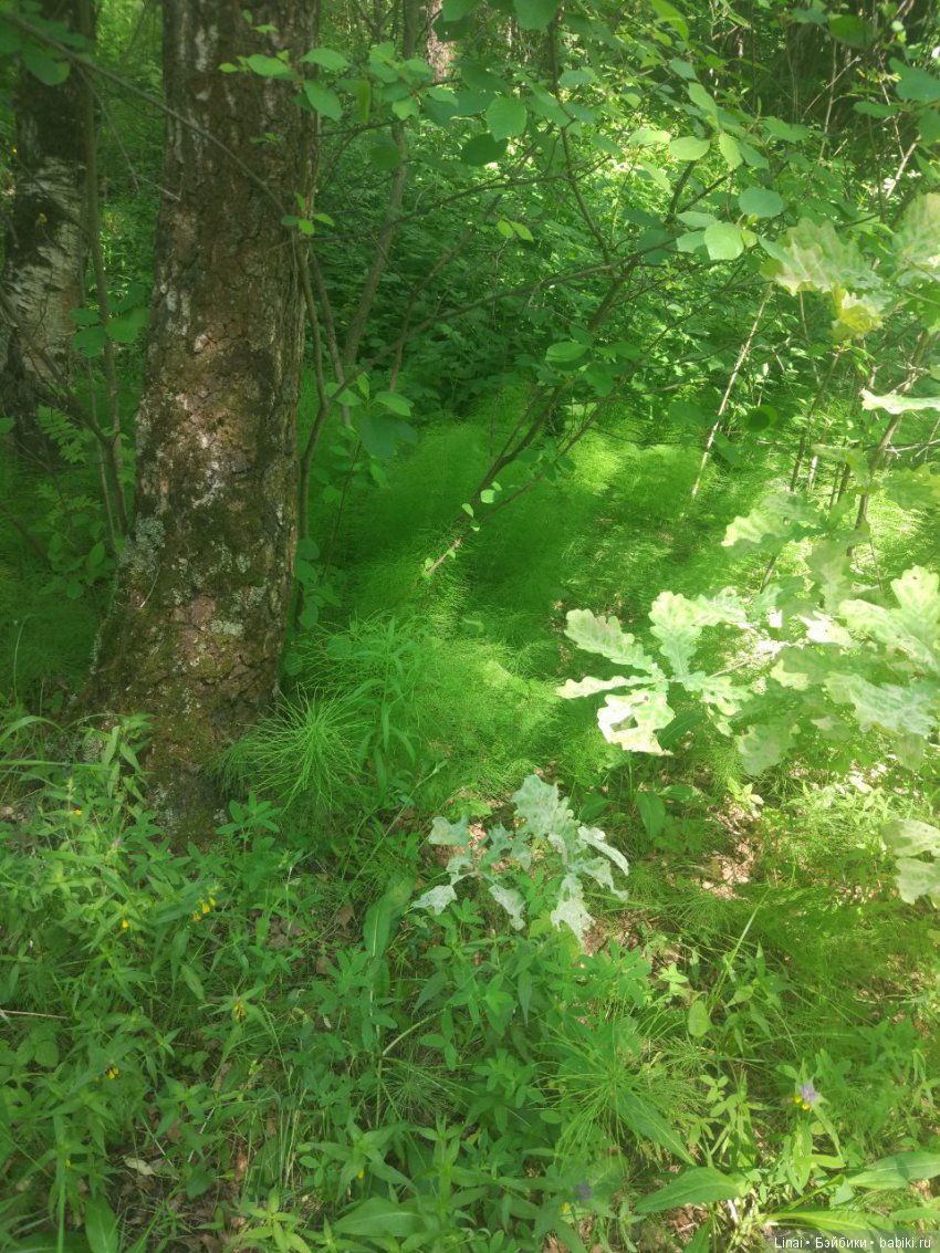 Солнечное утро для Милли, авторская текстильная кукла | Бэйбики Солнечное утро для Милли, авторская текстильная кукла (фото 9)