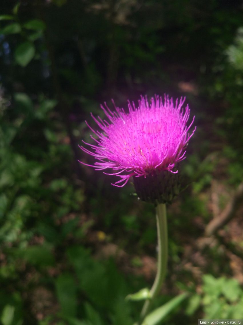 Солнечное утро для Милли, авторская текстильная кукла | Бэйбики Солнечное утро для Милли, авторская текстильная кукла