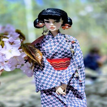 Как мы за сакурой ходили или Кимоно-пати