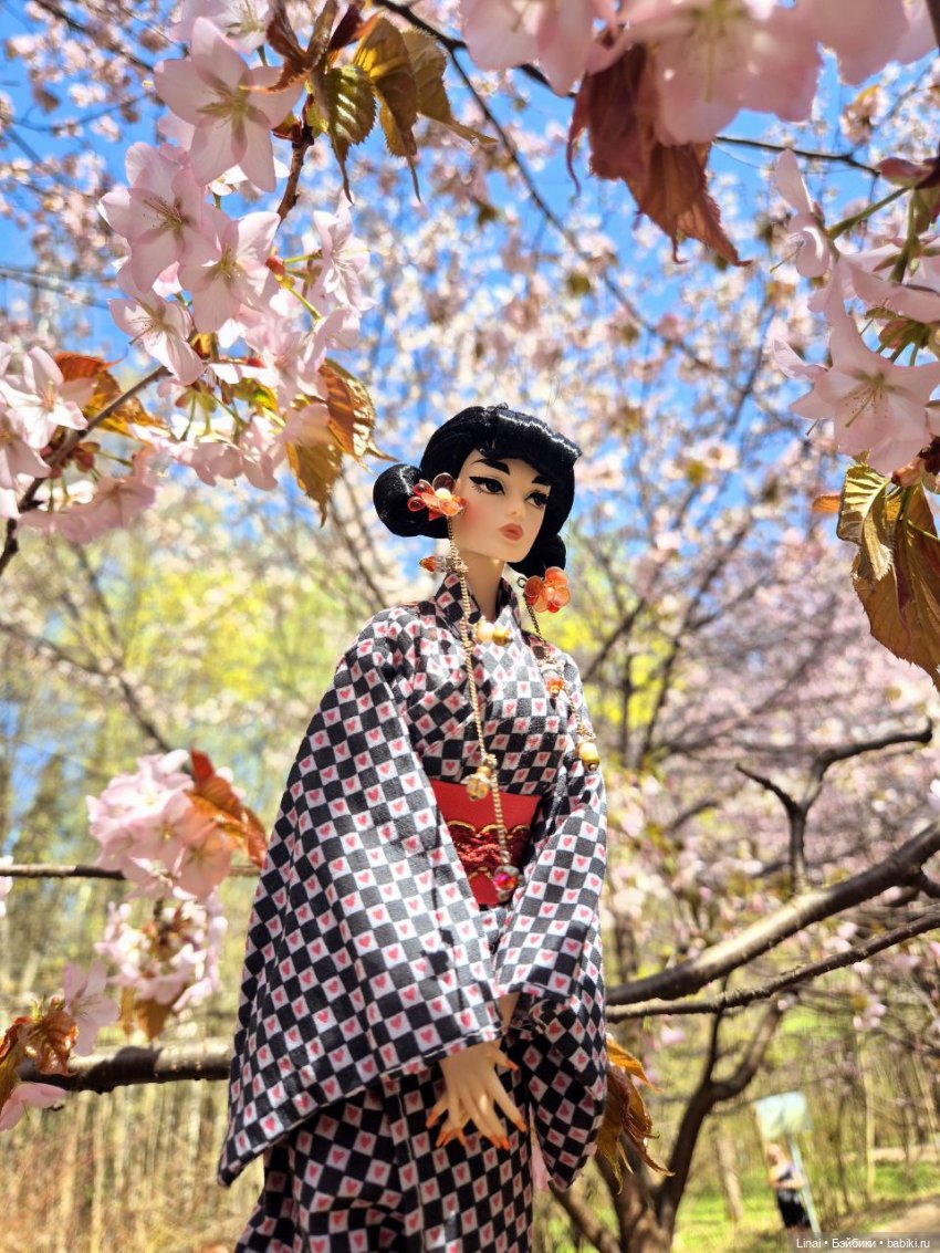 Как мы за сакурой ходили или Кимоно-пати