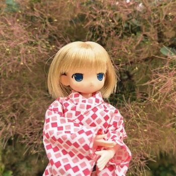 Волшебство Аптекарского огорода