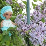 Луна-в поиске образа....