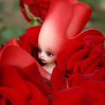 Прогулка по саду Doll zone