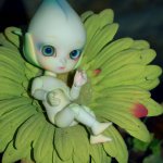 Цветы Dollzone, продолжение