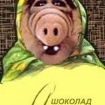 А как вы придумали свой ник?