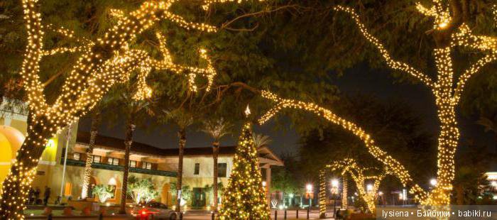 А вот история нашей елки — Новый год и Рождество: праздничные фото кукол (фото 6)