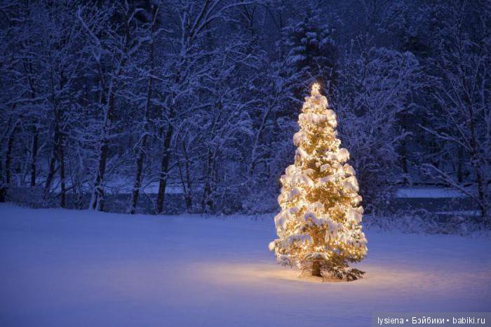 А вот история нашей елки — Новый год и Рождество: праздничные фото кукол (фото 3)