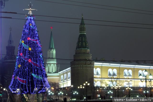 А вот история нашей елки — Новый год и Рождество: праздничные фото кукол (фото 10)