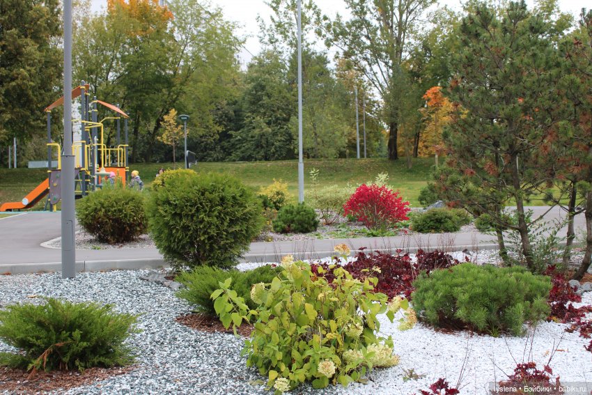 Осенний денек на Кировоградских прудах