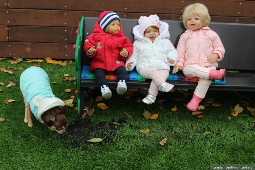 Осенний денек на Кировоградских прудах