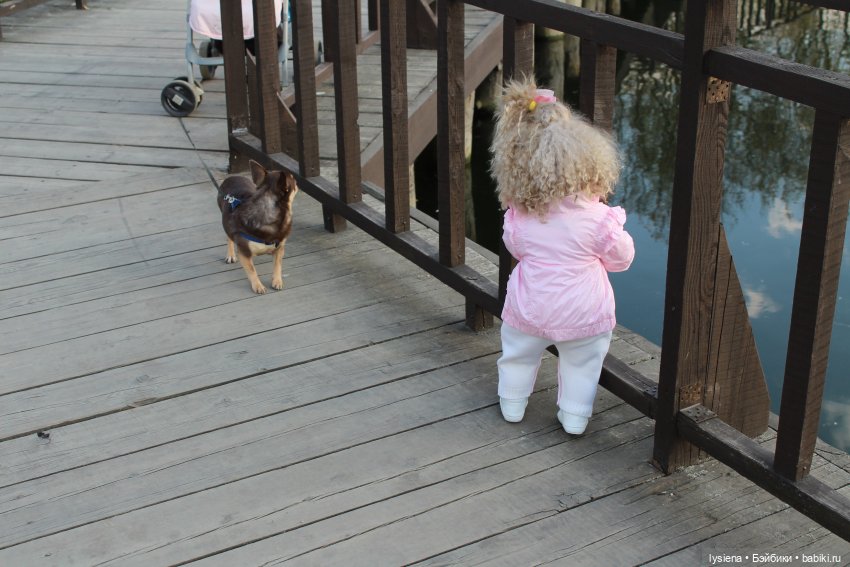 Наши прогулки на Кировоградских прудах | Бэйбики Наши прогулки на Кировоградских прудах