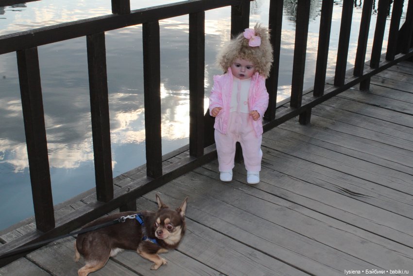 Наши прогулки на Кировоградских прудах | Бэйбики Наши прогулки на Кировоградских прудах