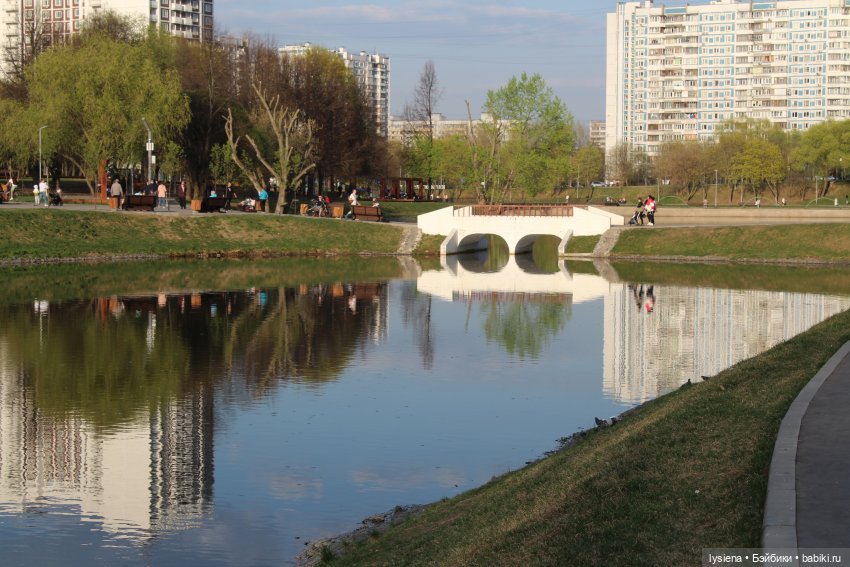 Наши прогулки на Кировоградских прудах