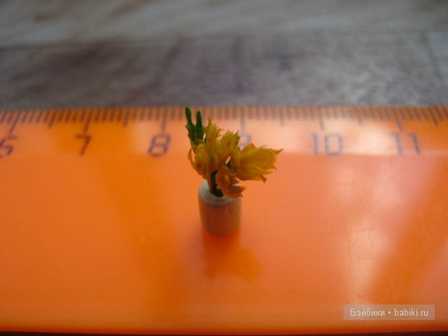 Иванникова Марина