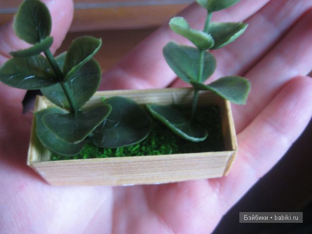 Иванникова Марина