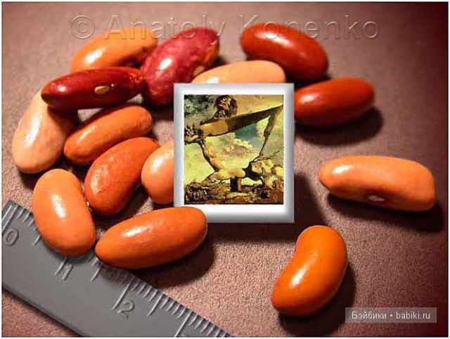 Анатолий Коненко