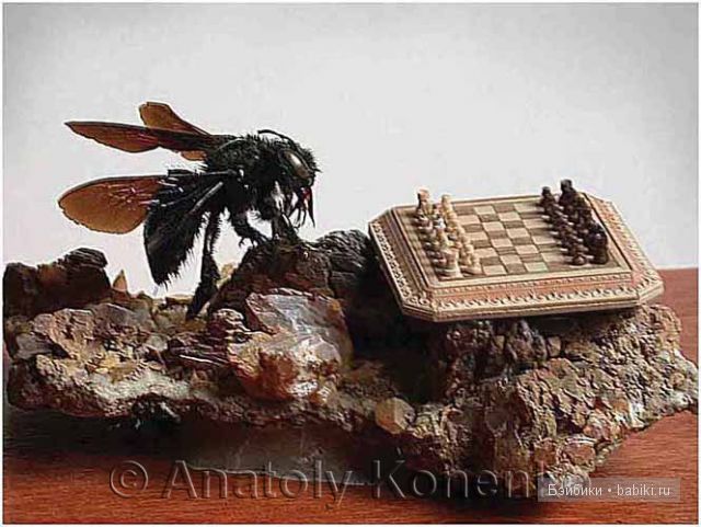 Анатолий Коненко