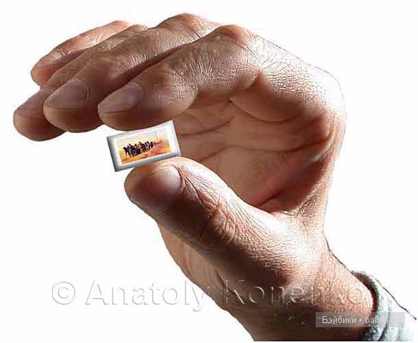 Анатолий Коненко