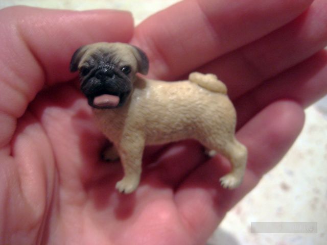 Моя коллекция игрушечных мопсиков (фото 10)