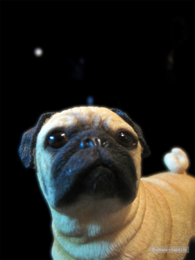 Моя коллекция игрушечных мопсиков