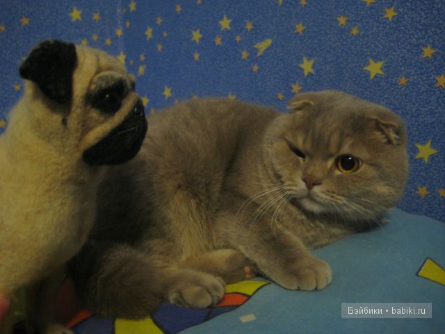 Моя коллекция игрушечных мопсиков