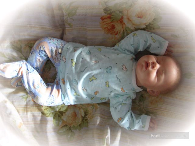 Ноа от Ревы Шик