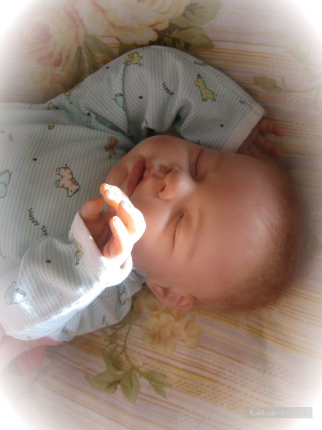 Ноа от Ревы Шик