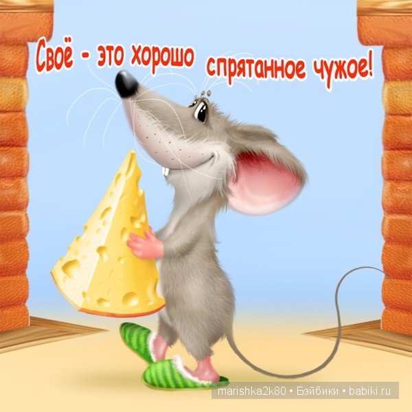 Пушистые картинки Алексея Долотова | Бэйбики Пушистые картинки Алексея Долотова