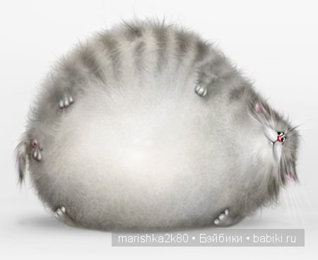 Пушистые картинки Алексея Долотова | Бэйбики Пушистые картинки Алексея Долотова