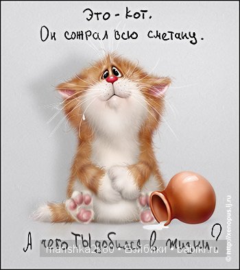 Пушистые картинки Алексея Долотова | Бэйбики Пушистые картинки Алексея Долотова