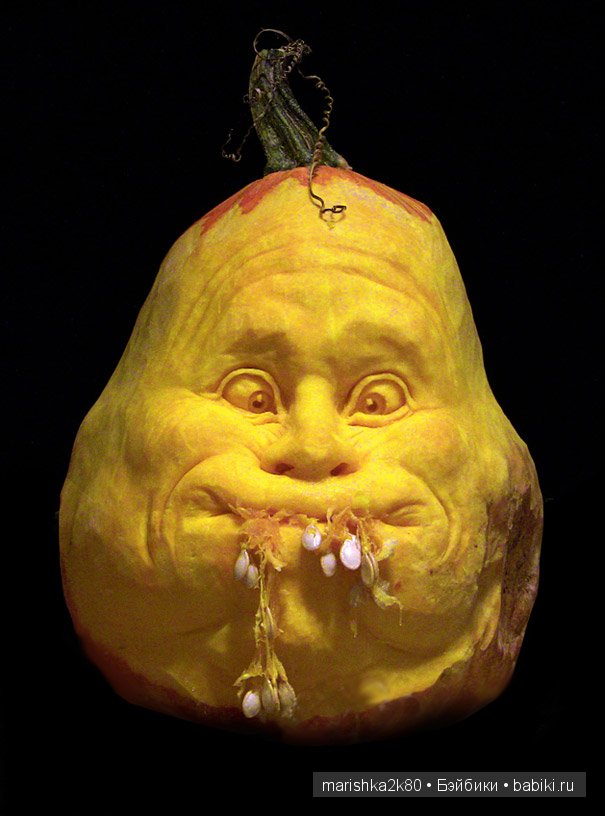 Скульптуры из тыкв Рэй Виллэфен (Ray Villafane) (фото 5)
