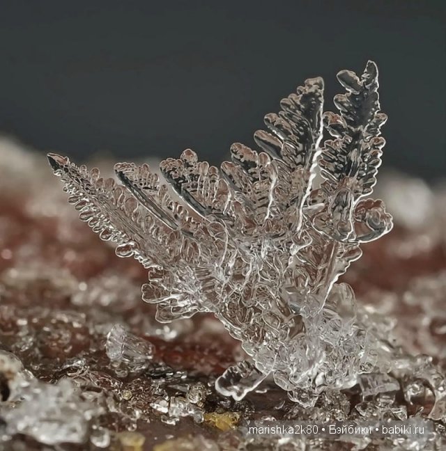 Снежинки. Какие они бывают... Макрофото Андрея Осокина (фото 5)