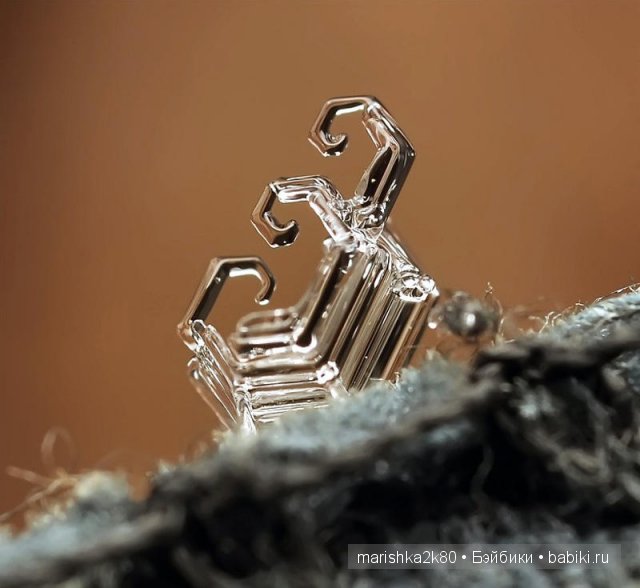 Макрофото Андрея Осокина