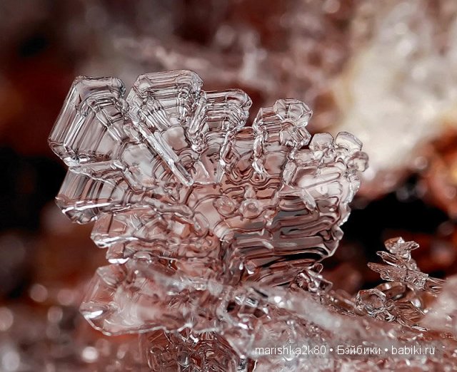 Снежинки. Какие они бывают... Макрофото Андрея Осокина (фото 6)