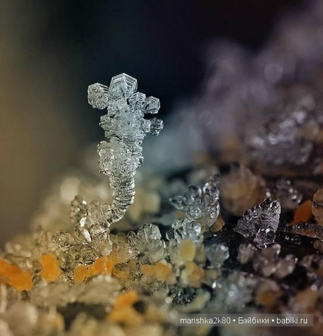Снежинки. Какие они бывают... Макрофото Андрея Осокина (фото 4)