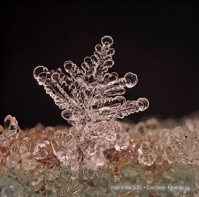 Снежинки. Какие они бывают... Макрофото Андрея Осокина (фото 3)