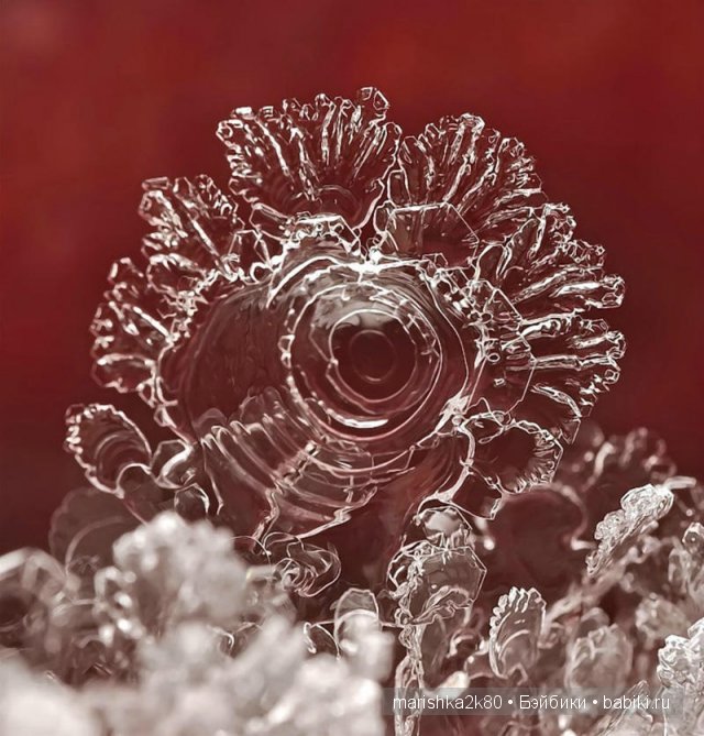 Снежинки. Какие они бывают... Макрофото Андрея Осокина (фото 9)