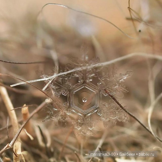 Снежинки. Какие они бывают... Макрофото Андрея Осокина