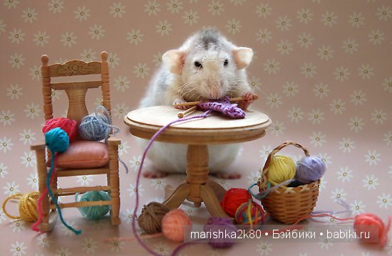 Ellen van Deelen. Фотографии крысок