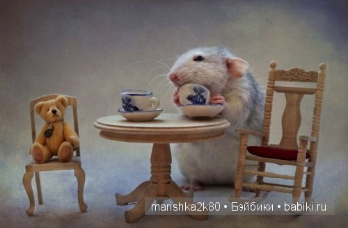 Ellen van Deelen. Фотографии крысок