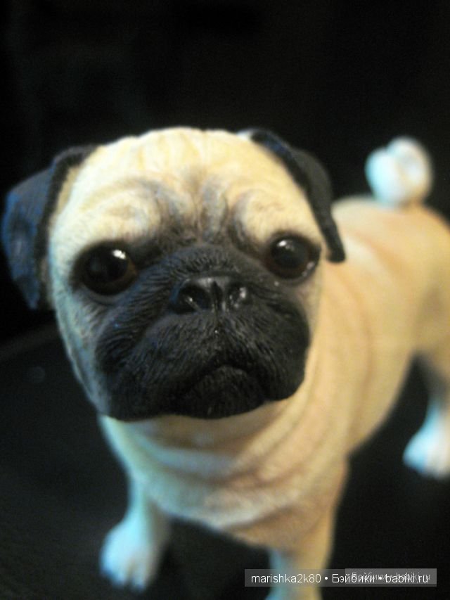 Моя коллекция мопсов — Фарфоровые статуэтки и фигурки: винтаж (фото 9)