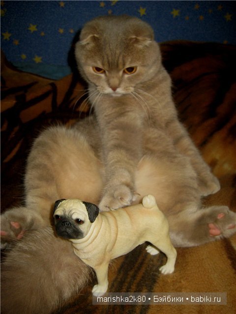 Моя коллекция мопсов — Фарфоровые статуэтки и фигурки: винтаж