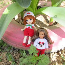 Мини американка Ребекка